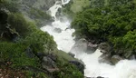 ١٧ استان ایران در مسیر بیابان شدن