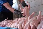 قیمت جدید مرغ گرم در عمده‌فروشی و خرده‌فروشی