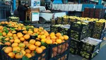 تقاضا برای هویج ۳ برابر شد/افزایش ۱۰۰۰ تنی عرضه
