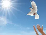 درهای دادسرا همیشه جهت تظلم‌خواهی به روی مردم باز است