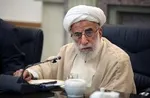 رحمانی فضلی: مدت‌ها تور اطلاعاتی برای «زم» پهن شده بود