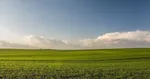پشت‌پرده آتش‌سوزی‌های عمدی در زاگرس