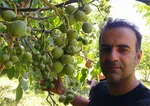 قیمت شیرینی در بازار شب عید افزایشی ندارد