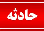 طعم كاهش هزينه سلامت