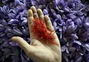 ارزش معاملات در بورس تهران ۷۳ درصد افزایش یافت