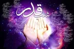 فیلم | گذشته عجیب قاتل امیرالمومنین