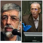 بیماری ها و آفات درخت چنار/ کرم سفید ریشه/ کرم برگ چنار/ سوسک چوبخوار/ مردم برای جلوگیری از سَم پاشی، حَشَره کُش و شَته کُش استفاده کنند!