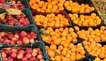 قیمت میوه در میادین میوه و تره‌بار ۳۸ درصد ارزان‌تر است
