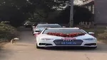 خطرناکترین غذا‌ها برای شام که از محبوبیت بالایی برخوردار هستند