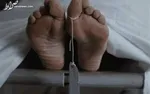 تبلیغ کلینیک زیبایی متخلف توسط یک نماینده مجلس