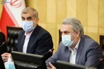یکپارچه‌ سازی راهی برای حمایت از تولید داخل