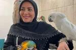 فیلم|  توضیحات المیرا شریفی مقدم درباره دکور مناظرات برای انتخابات ریاست جمهوری