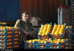 پرونده سنگین تعزیرات برای لبنیاتی‌ها