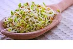 این نوشیدنی شما را ۵ سال جوانتر خواهد کرد