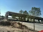 تصاویر/ فستیوال گاوهای شعله‌ور!