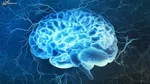 مهم ترین علامت آلزایمر چیست؟