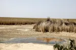 دستور دادستان تهران برای پیگیری قطعی‌های مکرر برق