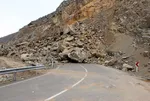هیچ‌گونه هلی برنی در سلسله صورت نگرفته است