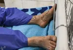 رئیس سازمان نظام پزشکی: افزایش ۴۶ درصدی تعرفه، کف خواسته جامعه پزشکی است