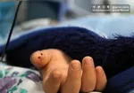 کیفرخواست پرونده قتل شرور غرب تهران صادر شد