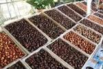 خرما؛ میان‌وعده‌ای سرشار از انرژی و سلامت