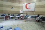 دلالی اعضای بدن در یزد!