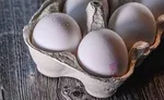 قیمت مصوب هرشانه تخم‌مرغ تعیین شد