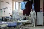 کرونا جان کودک ۶روزه را در بوشهر گرفت