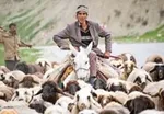 کلنگ ۱۲۰ هزار مسکن ملی زده شد
