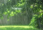عکس / طبیعت زمستانی ییلاقات - اشکورات