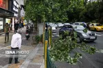 تهران تا پنجشنبه بارانی است