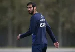 گربه ایرانی عروسک پرسپولیس و استقلال می‌شود