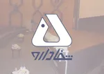 عکس / این تصویر از بیرانوند، جزو ۱۰ عکس برتر سال شد
