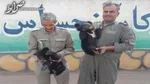 واژگونی اتوبوس برای 27 مسافر حادثه آفرید