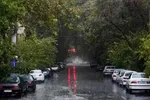 صدور هشدار نارنجی سازمان هواشناسی برای شرق و شمال شرق کشور