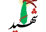 عکس | پیکر سردار شهید غیب‌پرور وارد شیراز شد