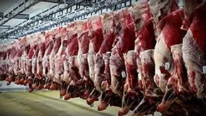 فیلم / عرضه گوشت قرمز تنظیم بازاری سراسری می‌شود