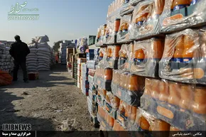 تصاویر/ رزمایش ترافیکی طرح زمستانی ۹۶