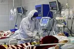 آخرین آمار کرونا در ایران / ۲۴۱ نفر در ۲۴ ساعت گذشته جان باختند