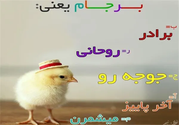 *معنای اصلی برجام