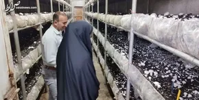 فیلم| با مدرک دکترا، پشت فرمان ماشین حمل سوخت!