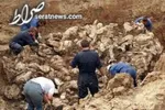 دولت طالبان ۱۸۰۰ زندانی داعش را آزاد کرد