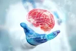 کدام خوراکی باعث آلزایمر می‌شود؟