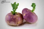 افزایش سرطان در سنین زیر ۵۰ سال