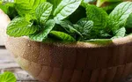 عکس/ فرار از دست گاو‌ها