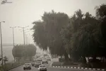 میانگین افزایش قیمت خودرو‌های داخلی کمتر از ۳۰ درصد/ قیمت‌ها بسیار پایین‌تر از نرخ‌های بازار