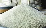 واردات بیش از ۸ میلیاردی لپه به کشور+جدول