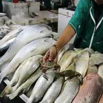 نرخ انواع میوه در بازار/ هر کیلو انگور بی دانه ۱۵ هزار تومان