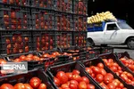سیب‌زمینی و گوجه‌فرنگی ارزان شد/ قیمت جدید