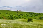 گزارش اولیه سانحه هواپیمای بوئینگ ۸۰۰-۷۳۷ منتشر شد